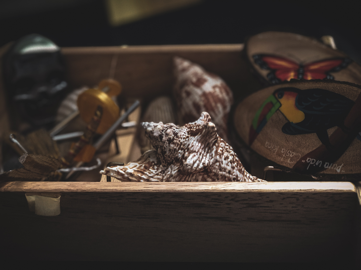 Close-up photo of a birdhouse, open, with seashells, scout badges, and other objects within.