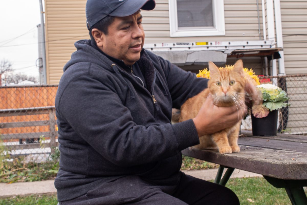Person in blue jacket and hat sitting at a picnic table holding an orange cat.