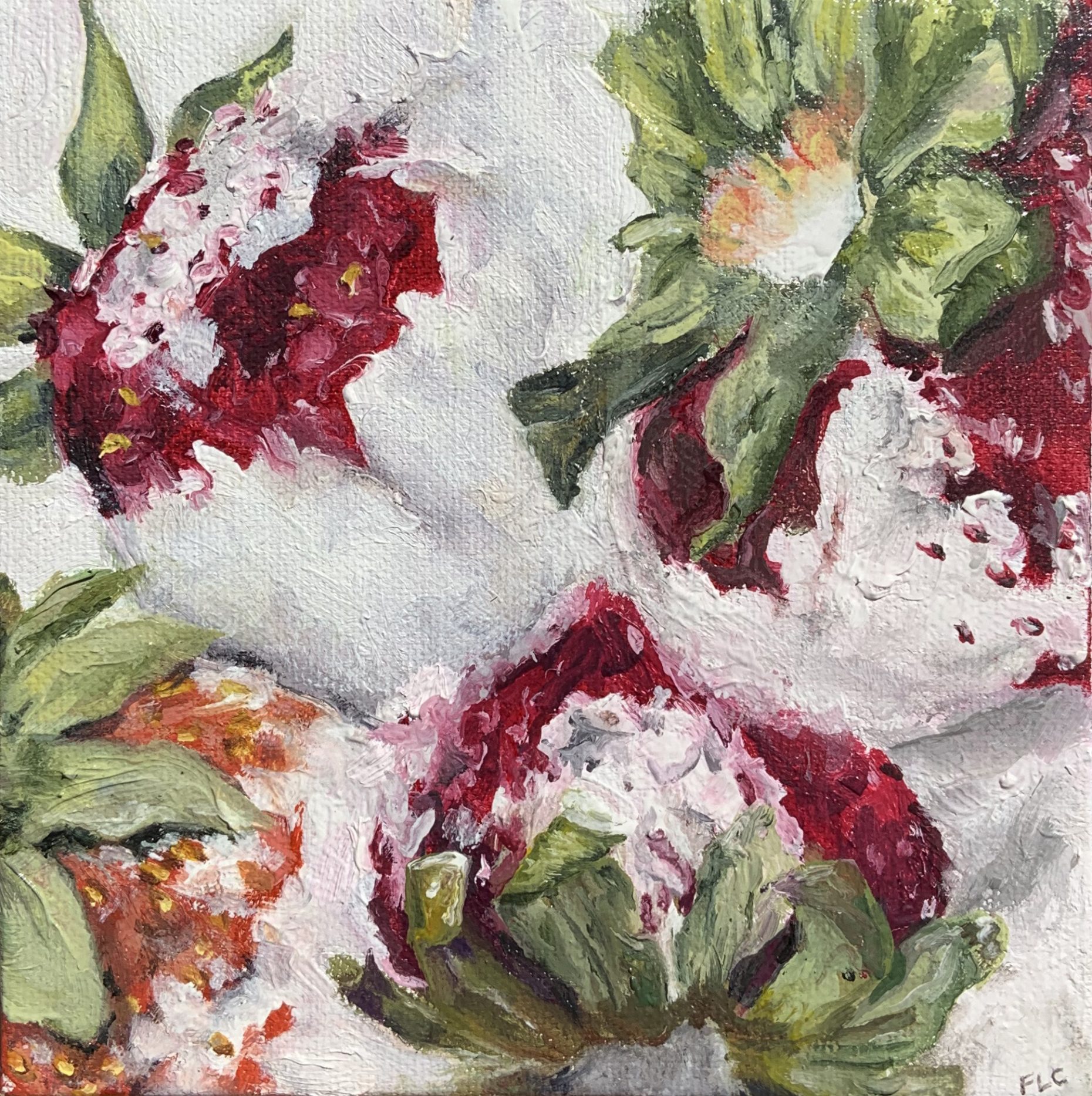 Painting of strawberries with white mold