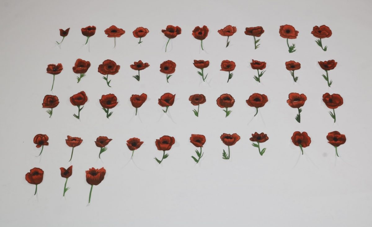 Rows of painted red poppy flowers painted on a white background.
