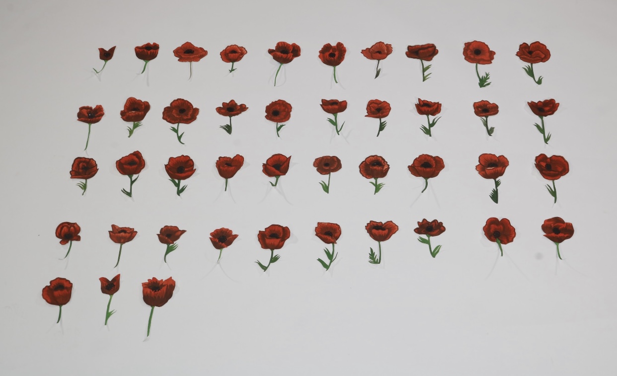 Rows of painted red poppy flowers painted on a white background.
