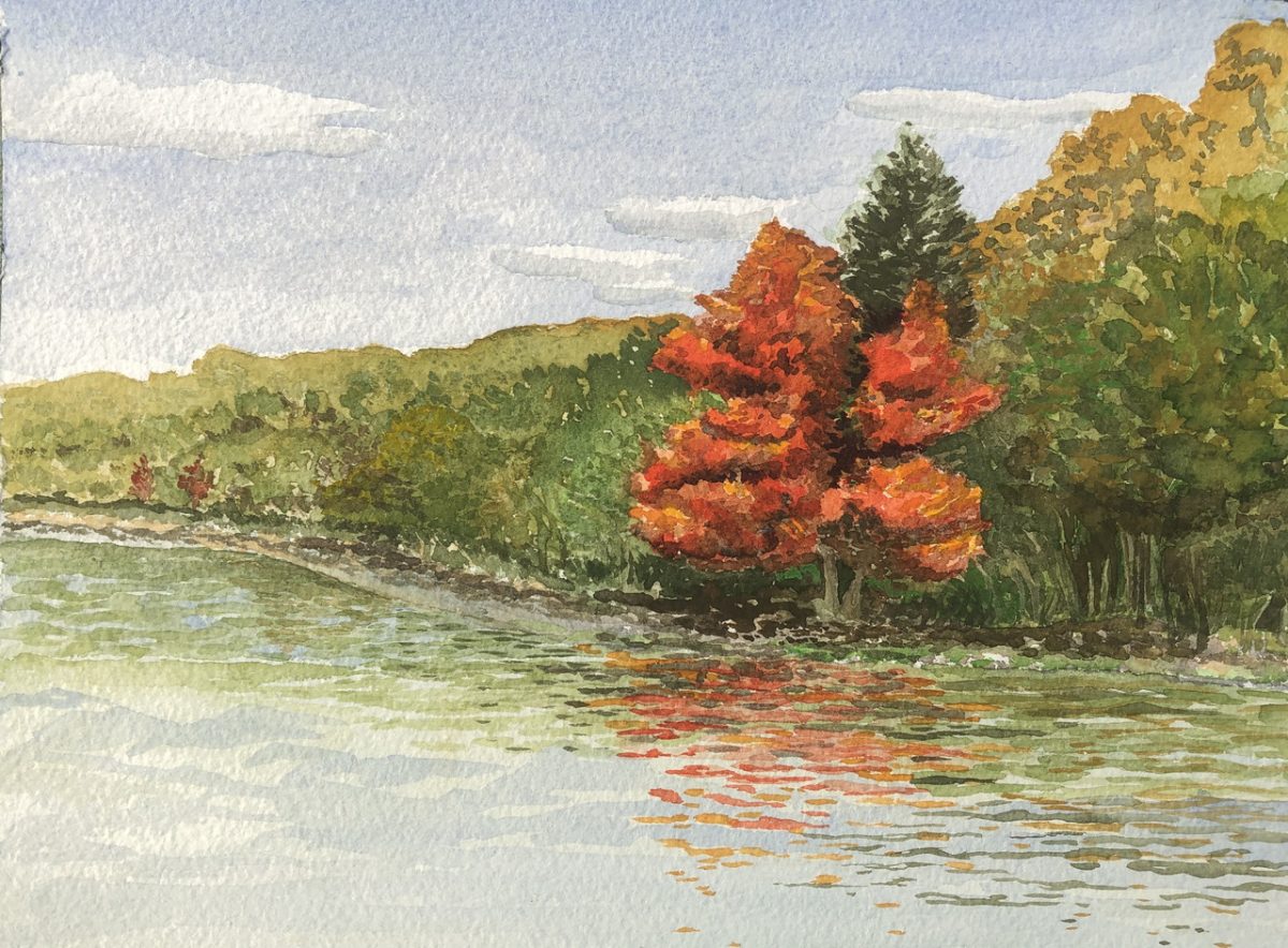 Shoreline and fall forest as seen from the water.