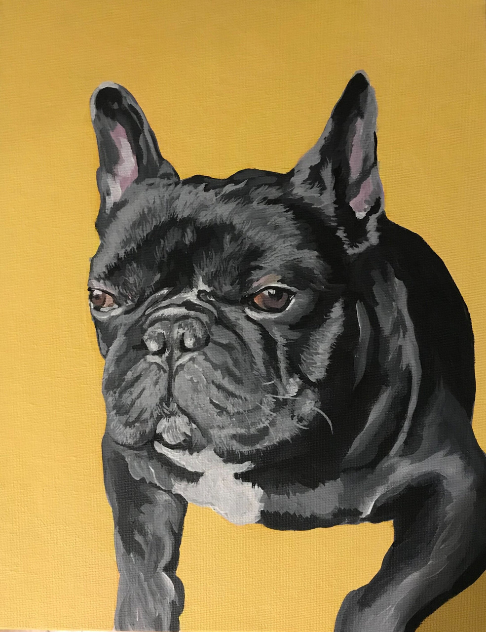 Painting of black French Bulldog on a yellow background.