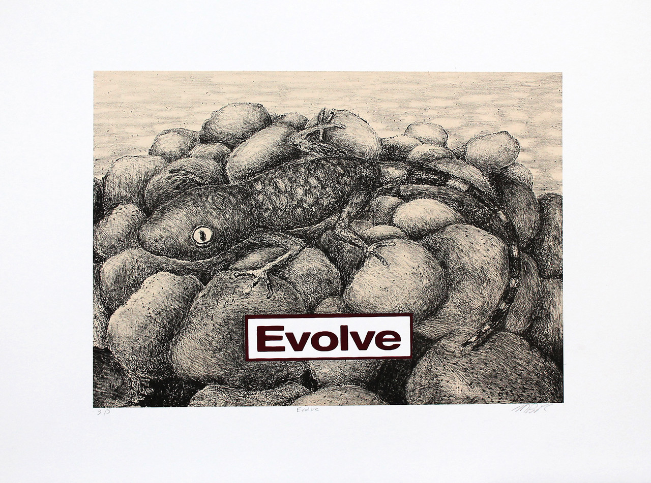 Black and white drawing of lizard on rocks, with Evolve logo beneath it.