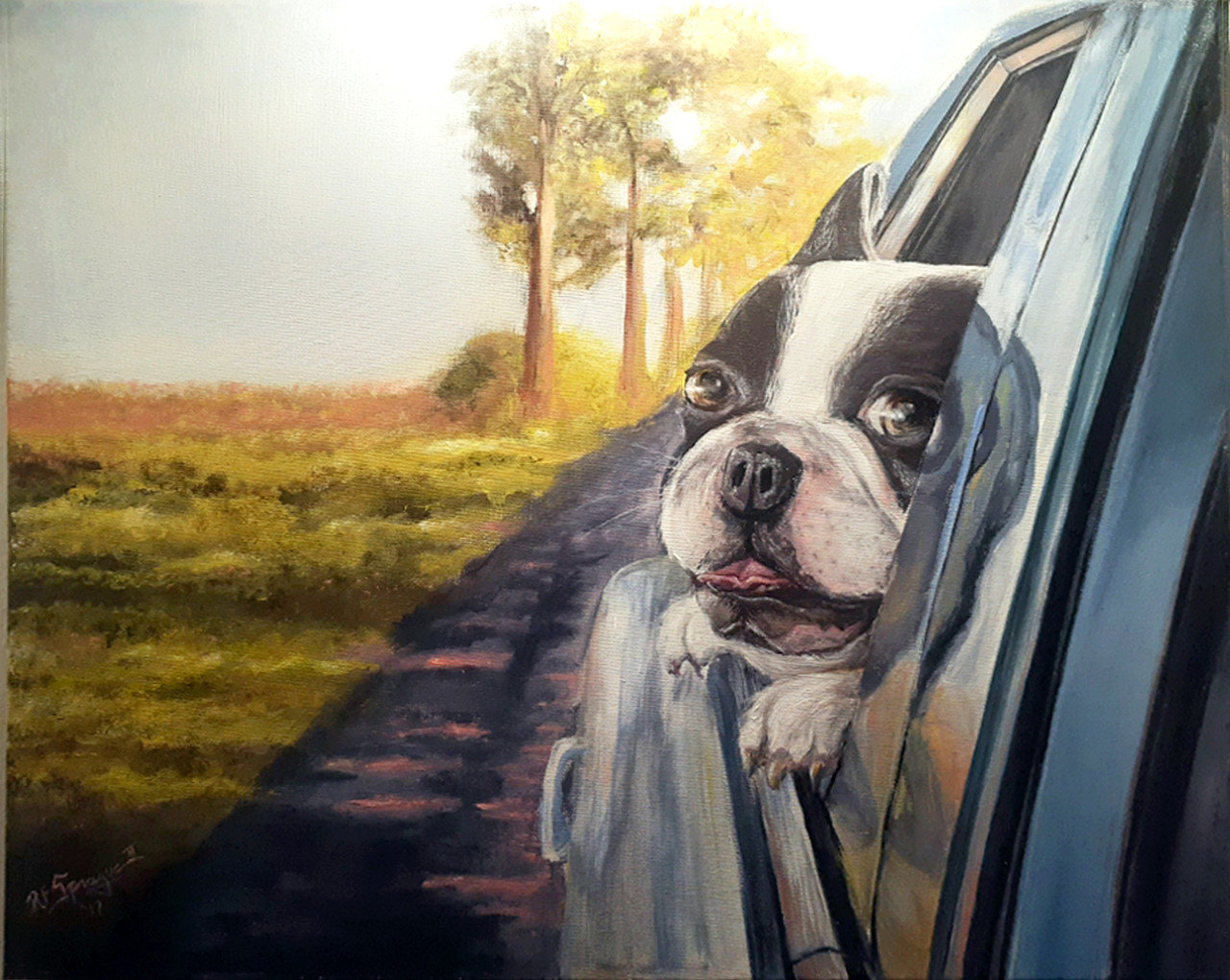 Black and white dog hanging their head out a car window.