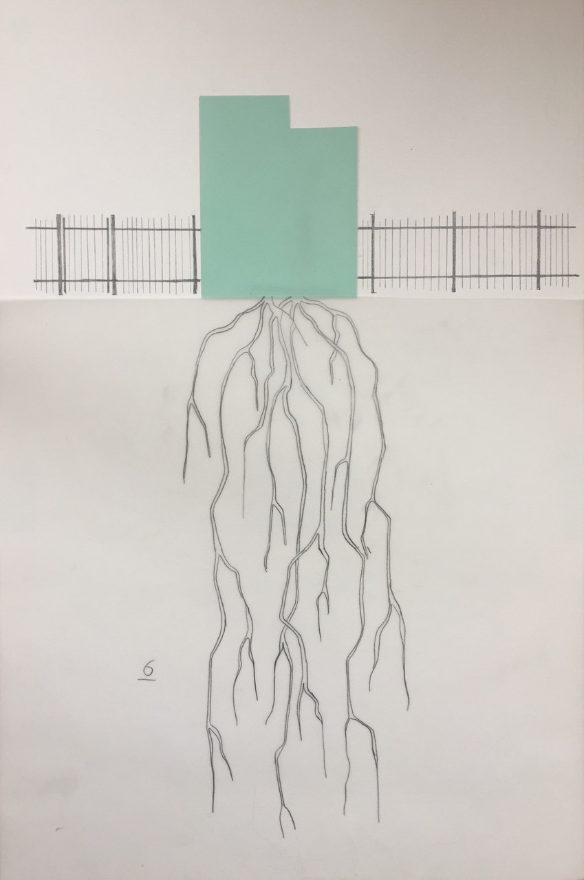 Mint green rectangular paper on top of fence and roots drawn in pencil.