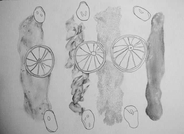 Graphite drawing of lemons in a still life