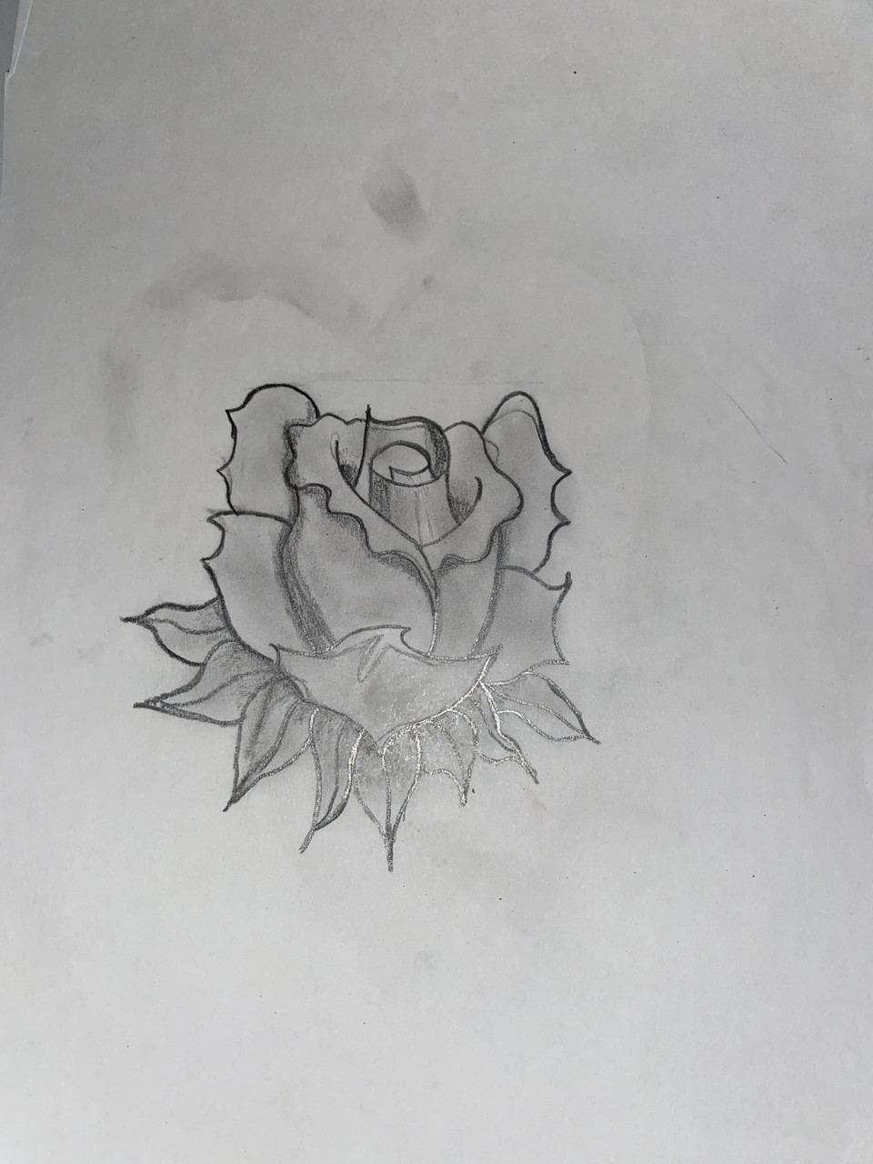 Drawing of a rose