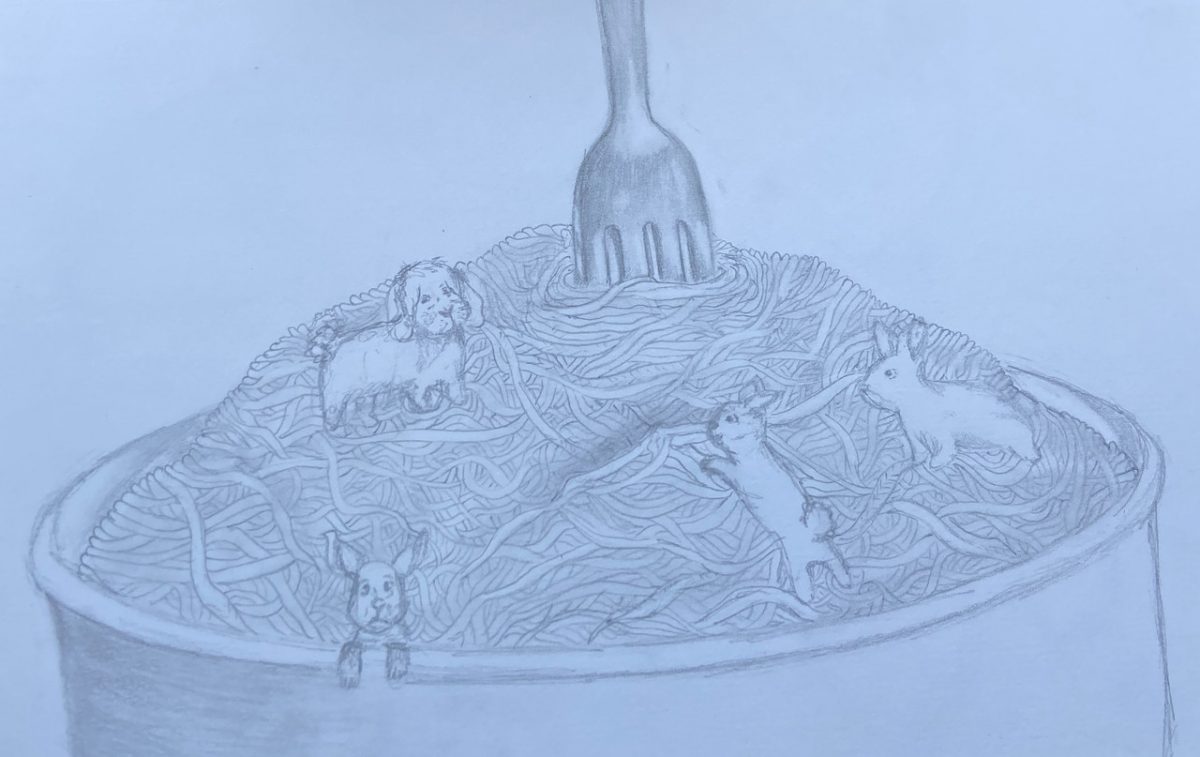 Drawing of a fork in noodles with animals