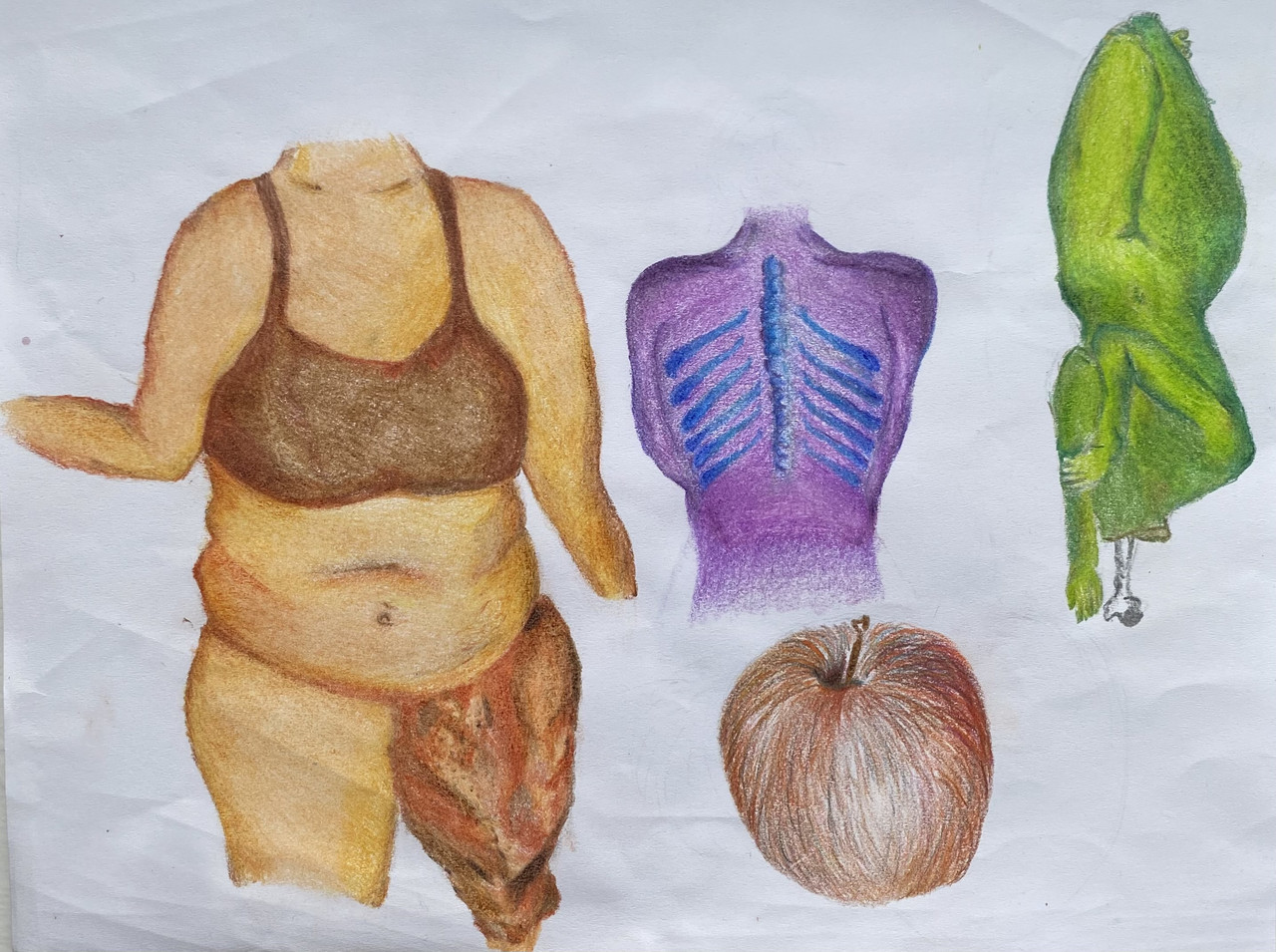 Drawing of bodies