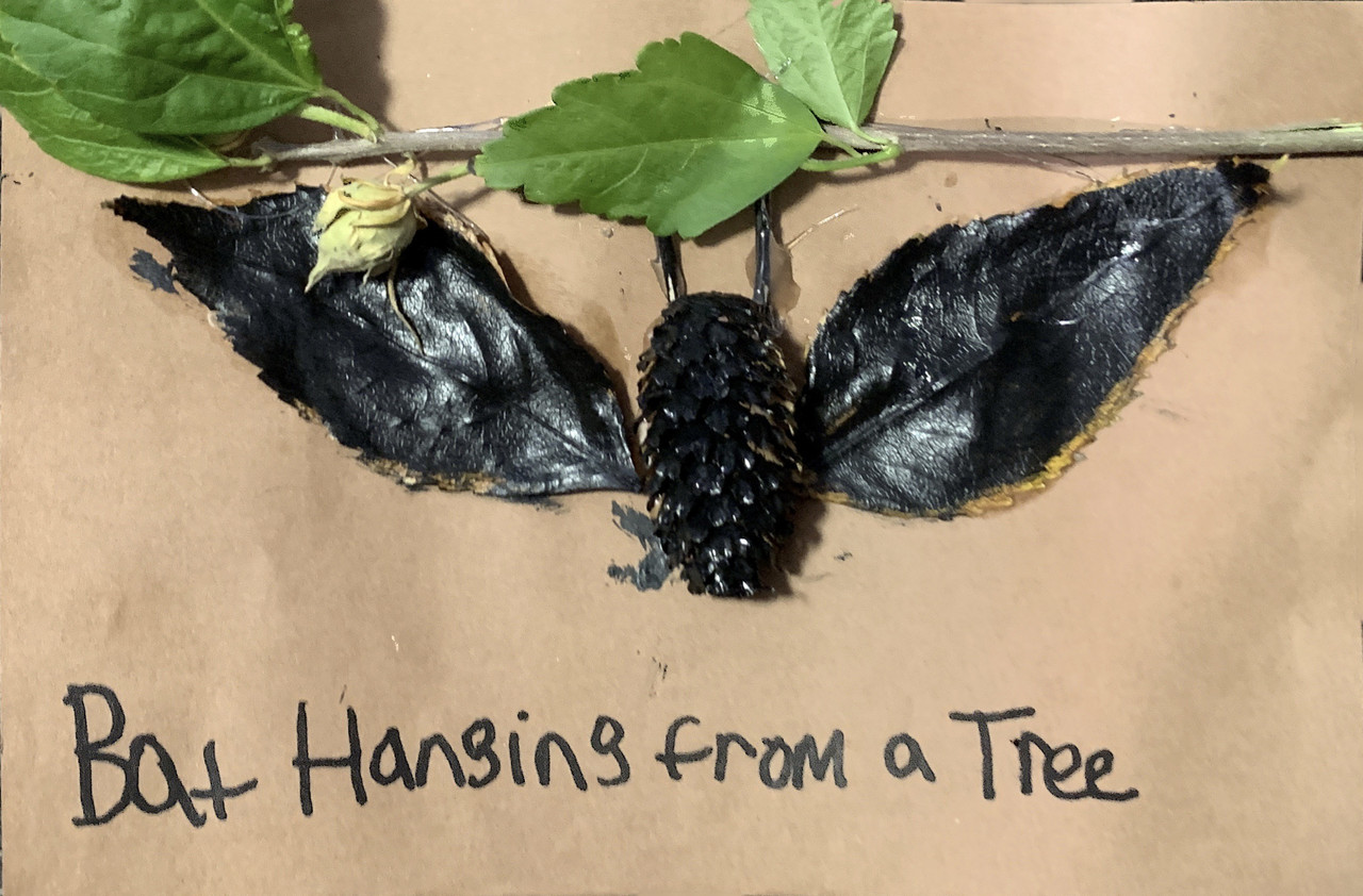 Sculpture of pinecones and leaves in the shape of a bat