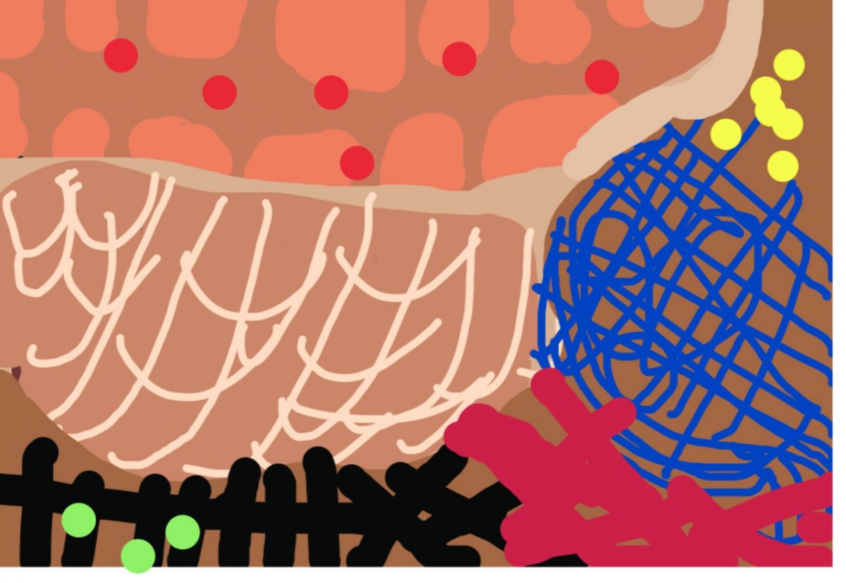 Drawing of shapes, lines, and colors