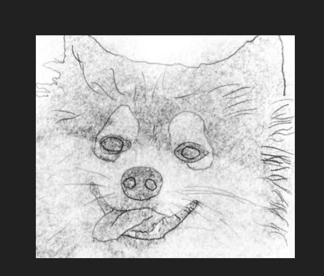 drawing of a dog with its tongue out