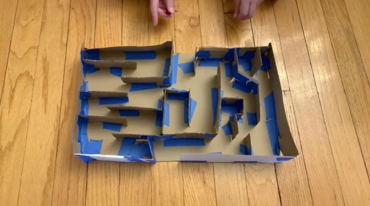 Cardboard maze