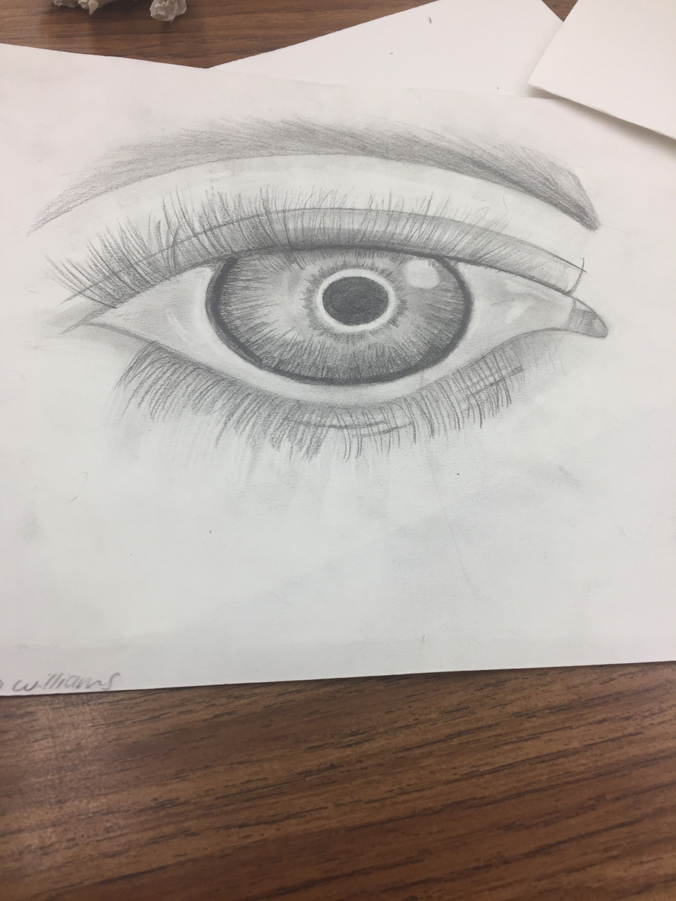 :arge detailed pencil drawing of an eye with an eyebrow