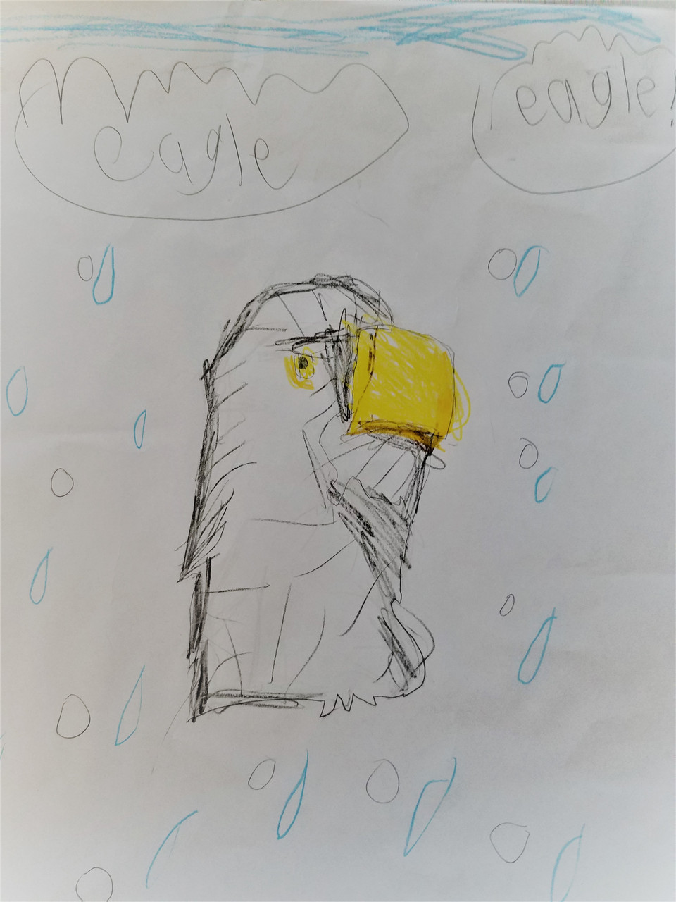 Illustration of an Eagle head with a yellow beak