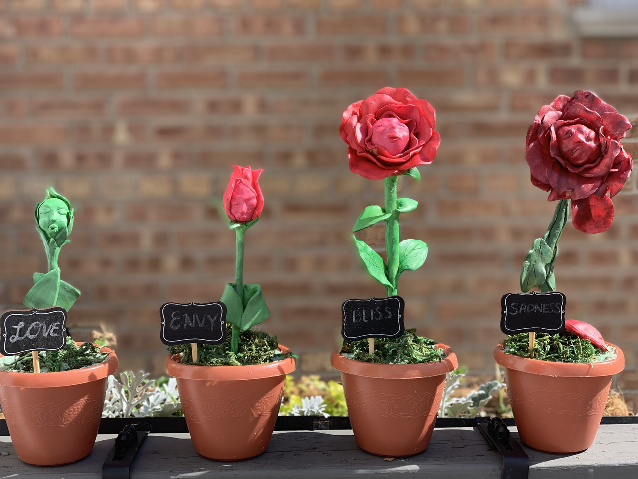 Four flowers at different stages of growth