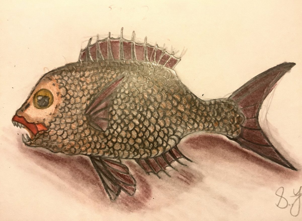 A drawing of a fish
