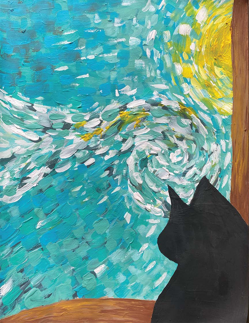 black cat on starry night background