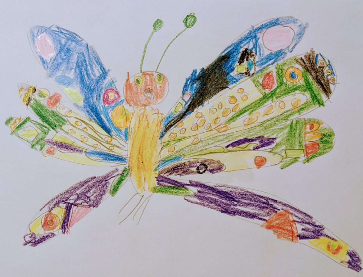 Crayon drawing of a butterfly
