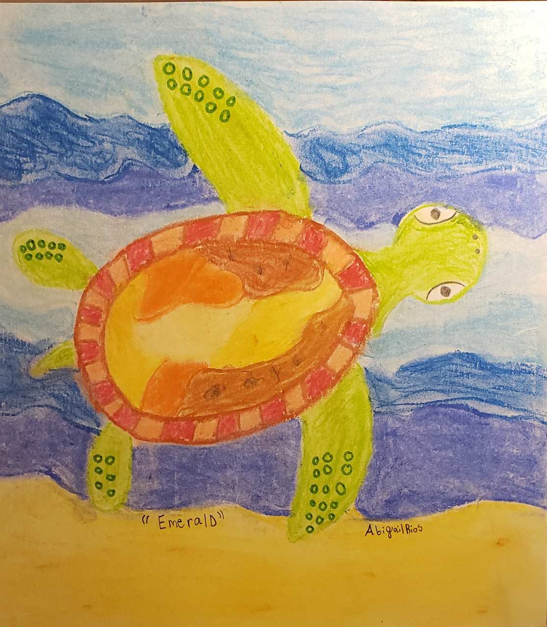 Drawing of a turtle underwater, in colored pencil