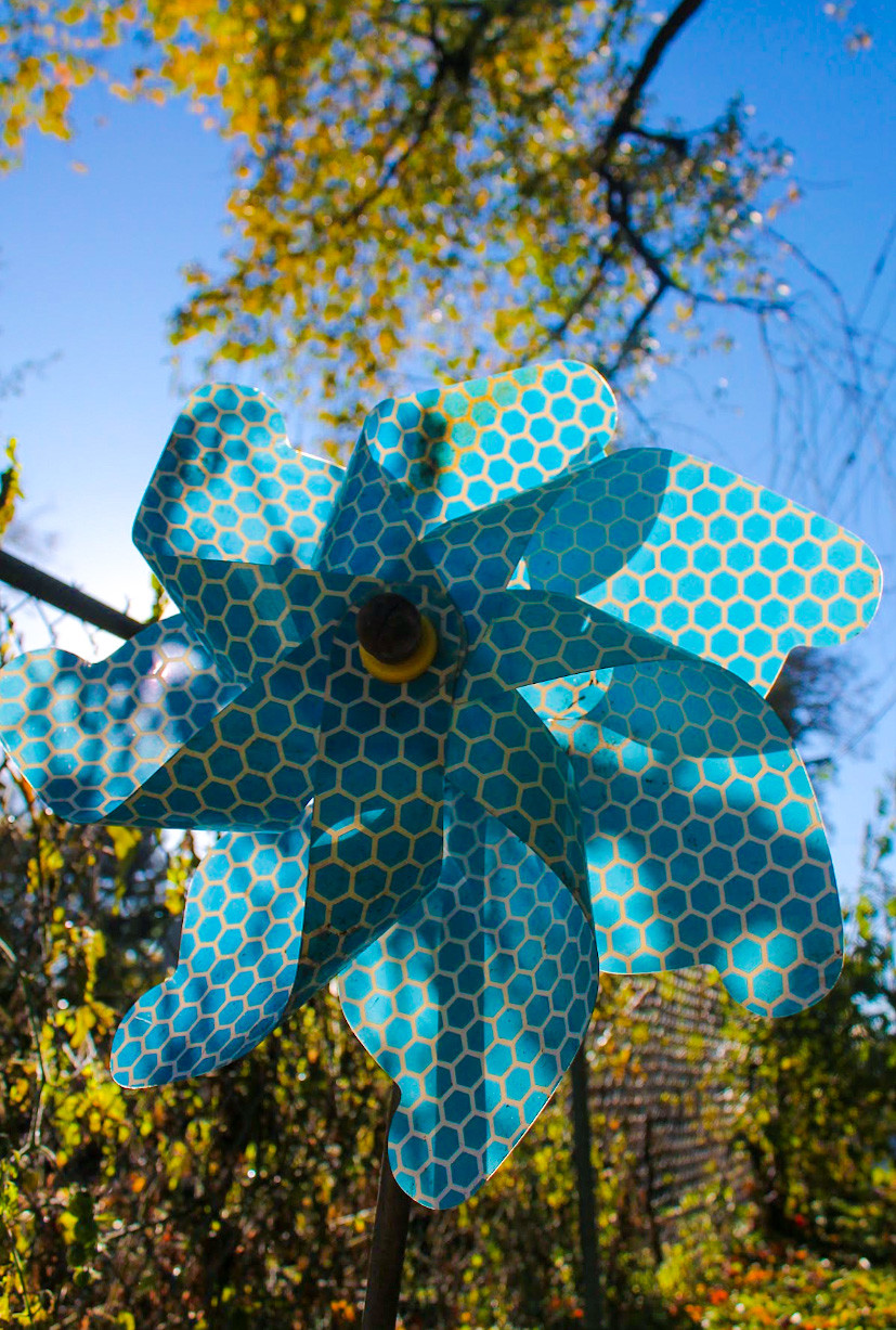 Photograph of a pinwheel in front of trees and a sky