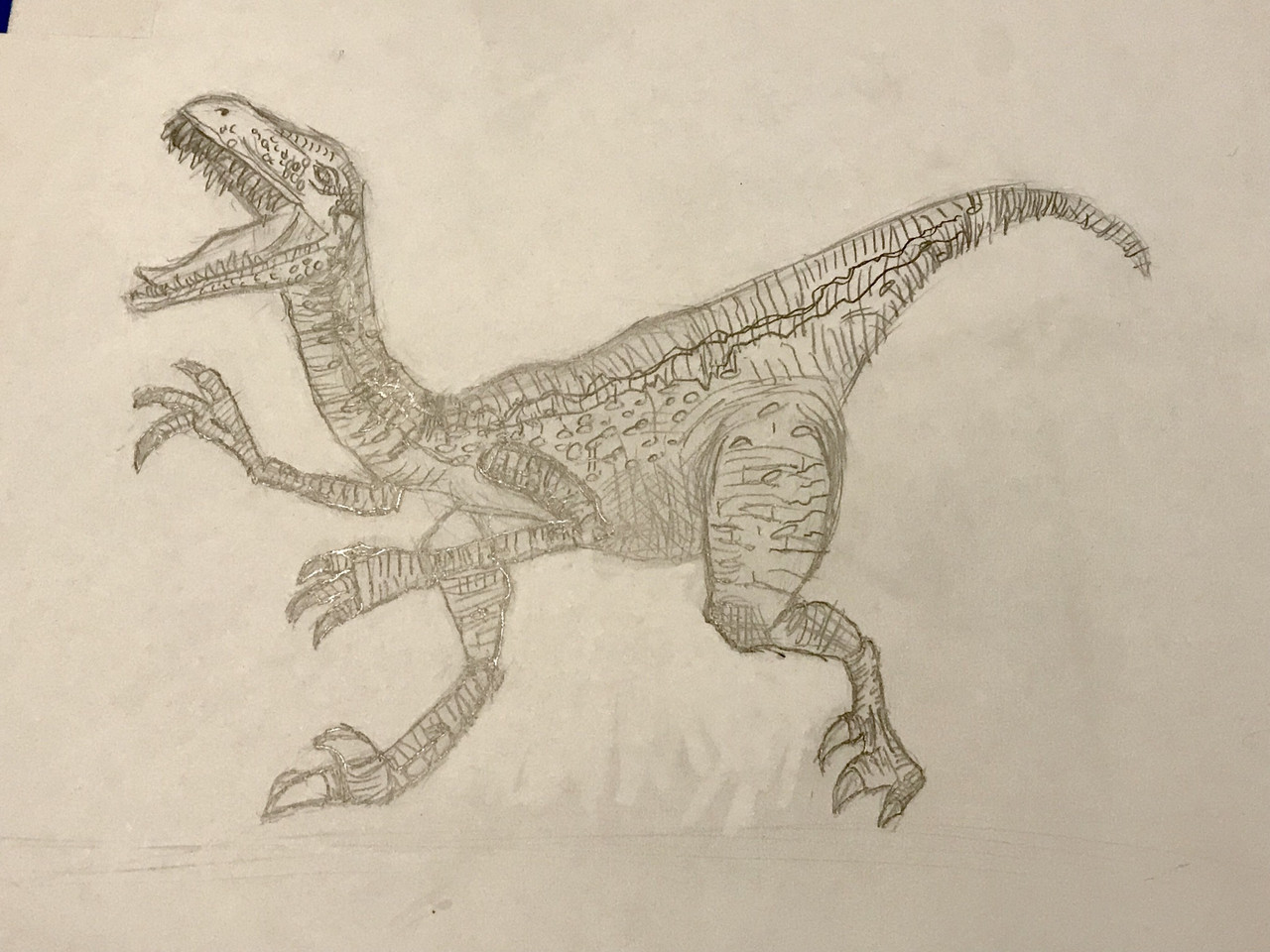 A pencil drawing of a raptor dinosaur