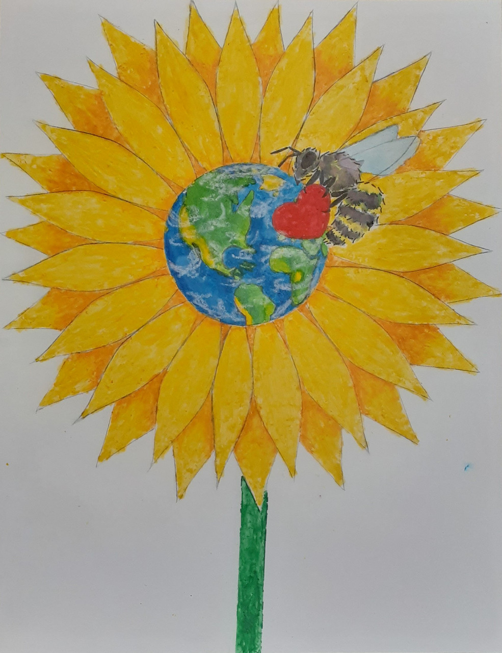 Drawing of a bee on a sunflower with the world in the middle