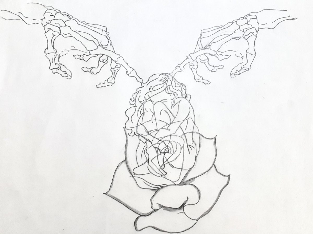 A pencil drawing of two skeleton hands reaching towards a rose