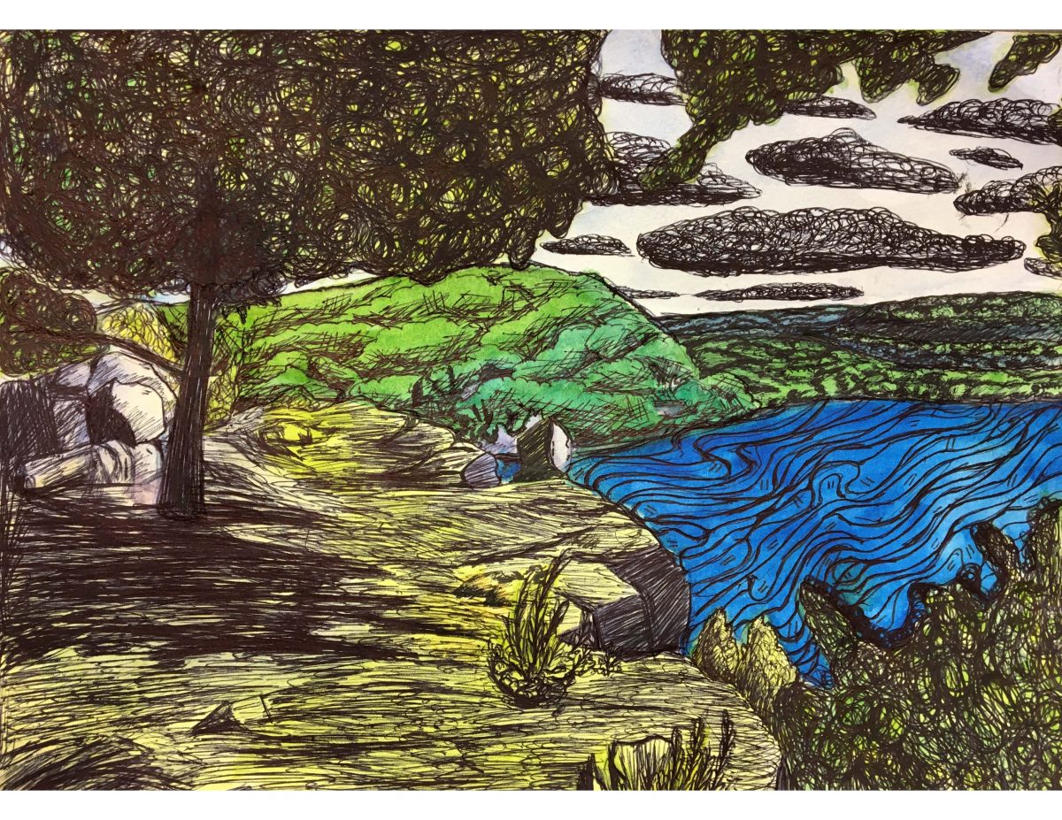 A landscape drawing of a lake and a tree