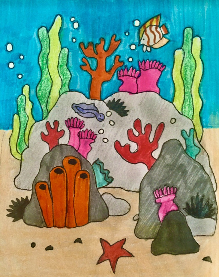 Drawing of an underwater scene