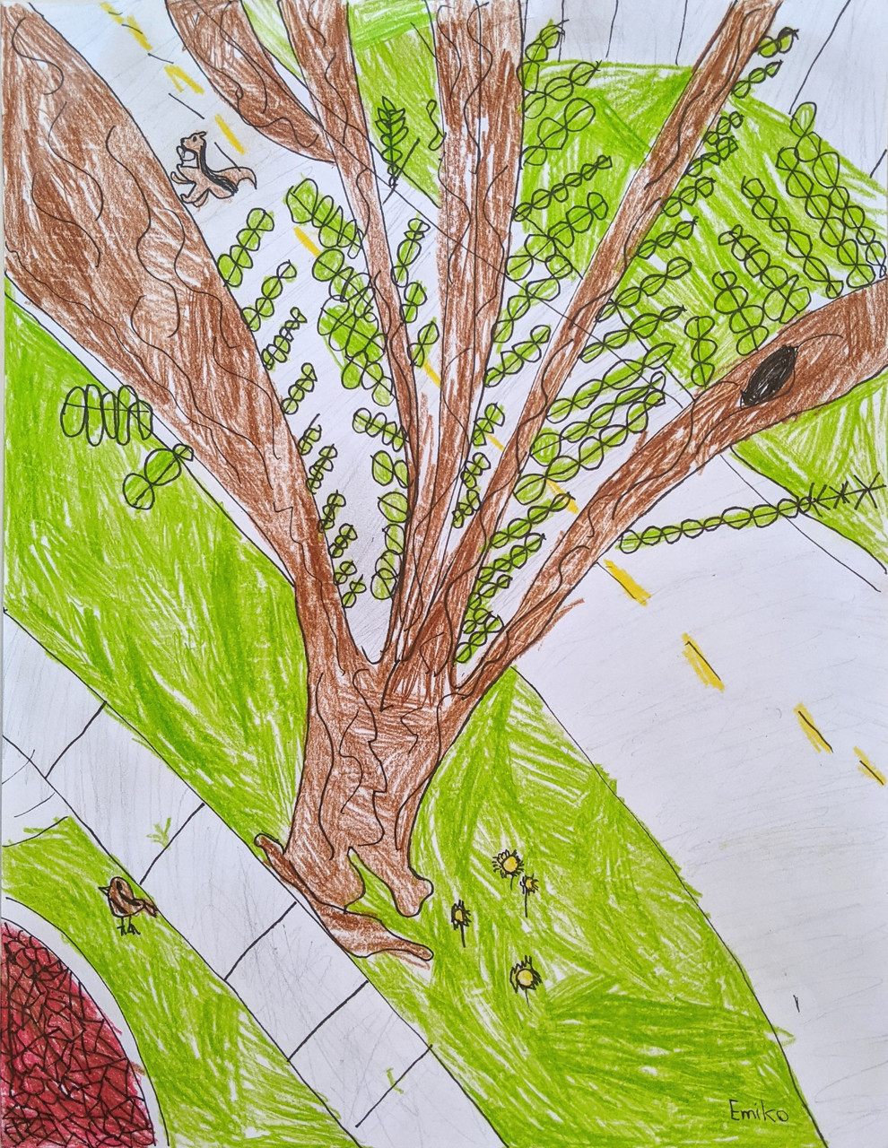 Colored pencil drawing of a tree from above