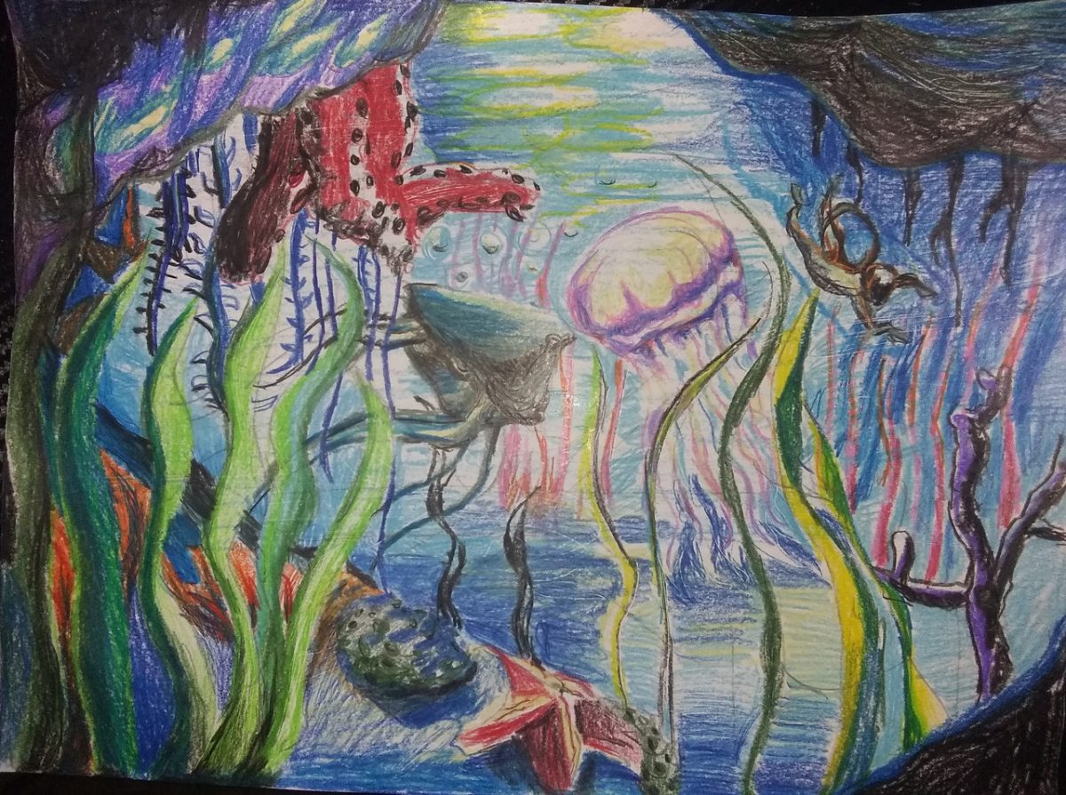Colorful underwater scene