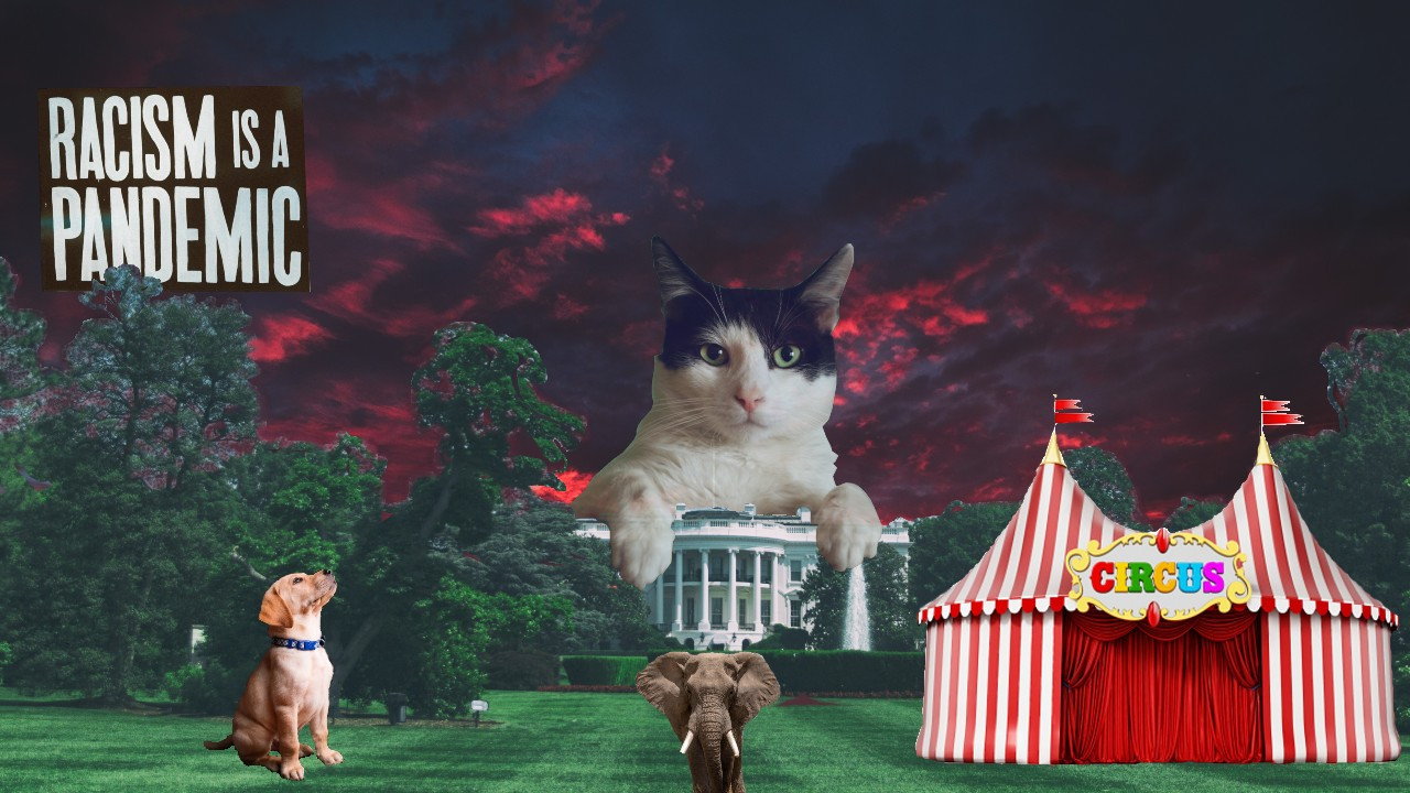 Digital collage of a cat on the white house with a circus out front