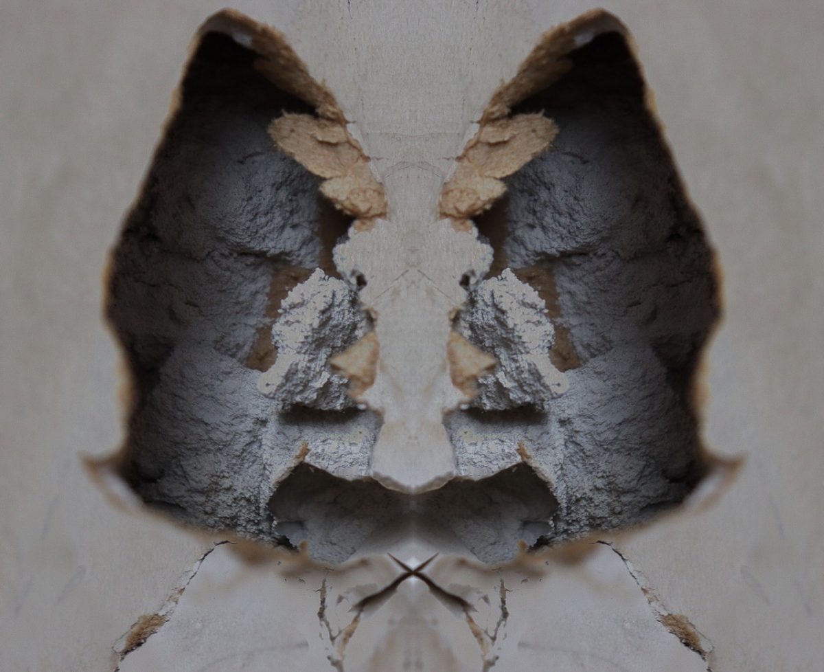 An abstract photograph of symmetrical shapes like an inkblot