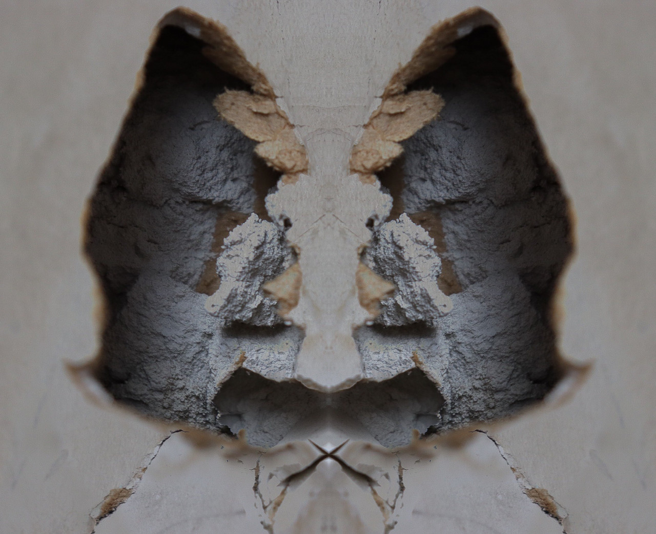 An abstract photograph of symmetrical shapes like an inkblot