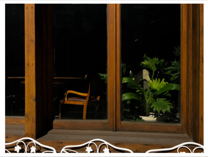 Photo of chair and plant through window