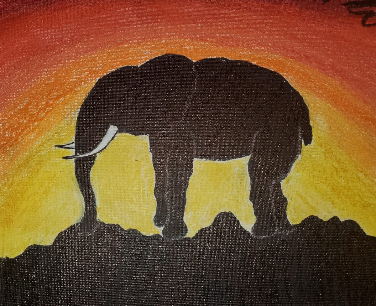 Silhouette of elephant against sunset.
