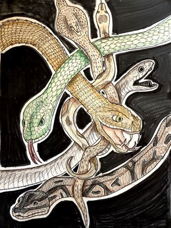 Drawing of snakes
