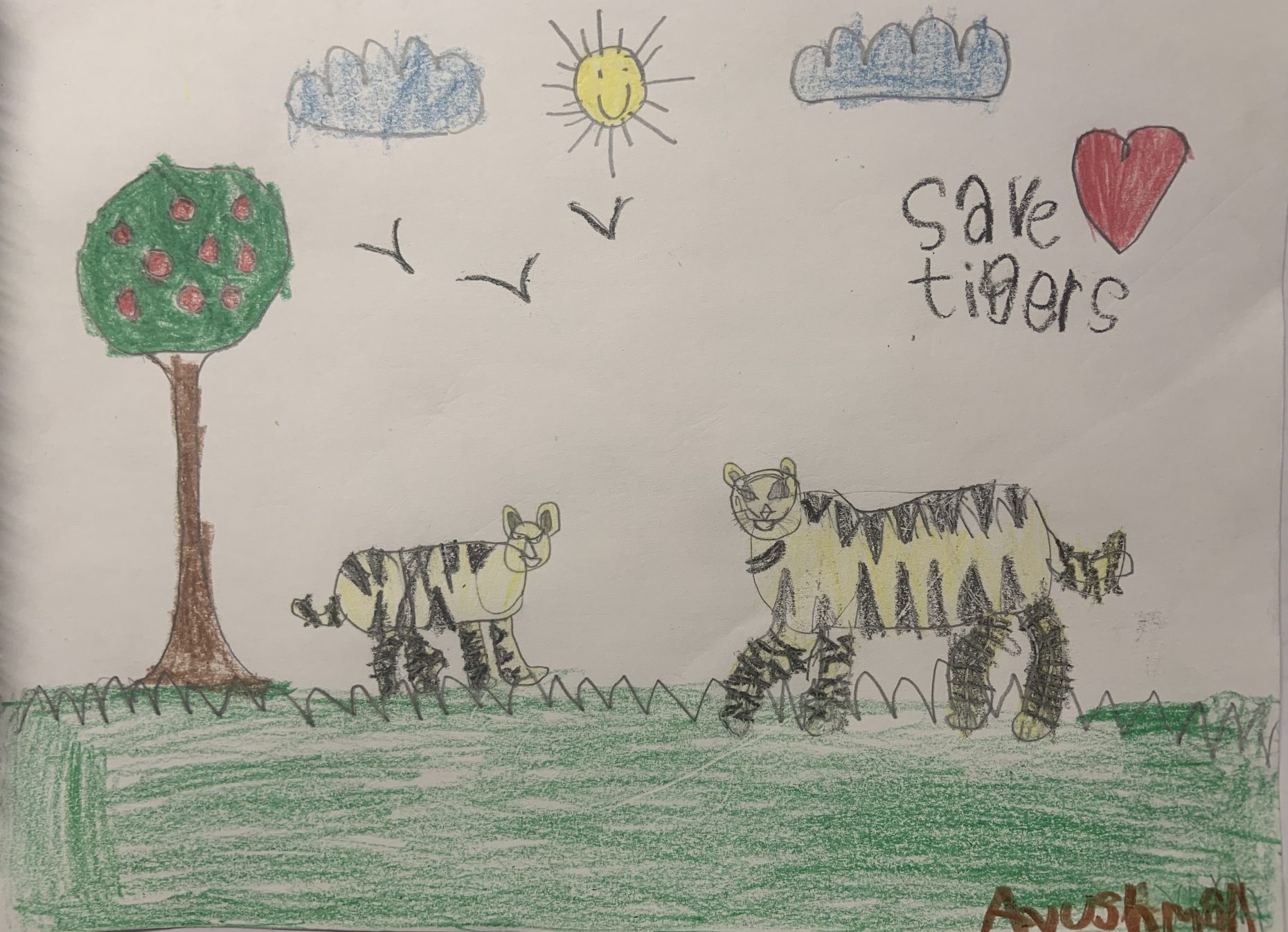 Drawing of 2 yellow tigers under a tree. In the sky, written "Save tigers" with a red heart.