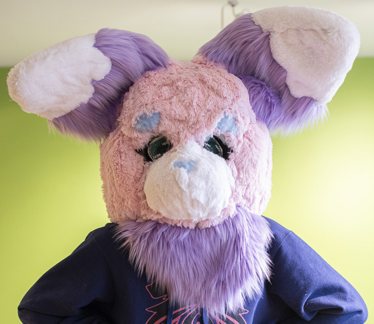 Purple rabbit head made of fur.