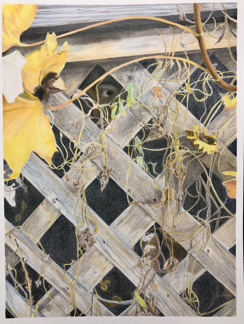 photograph of person behind lattice with plants