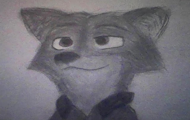 pencil drawing of a fox