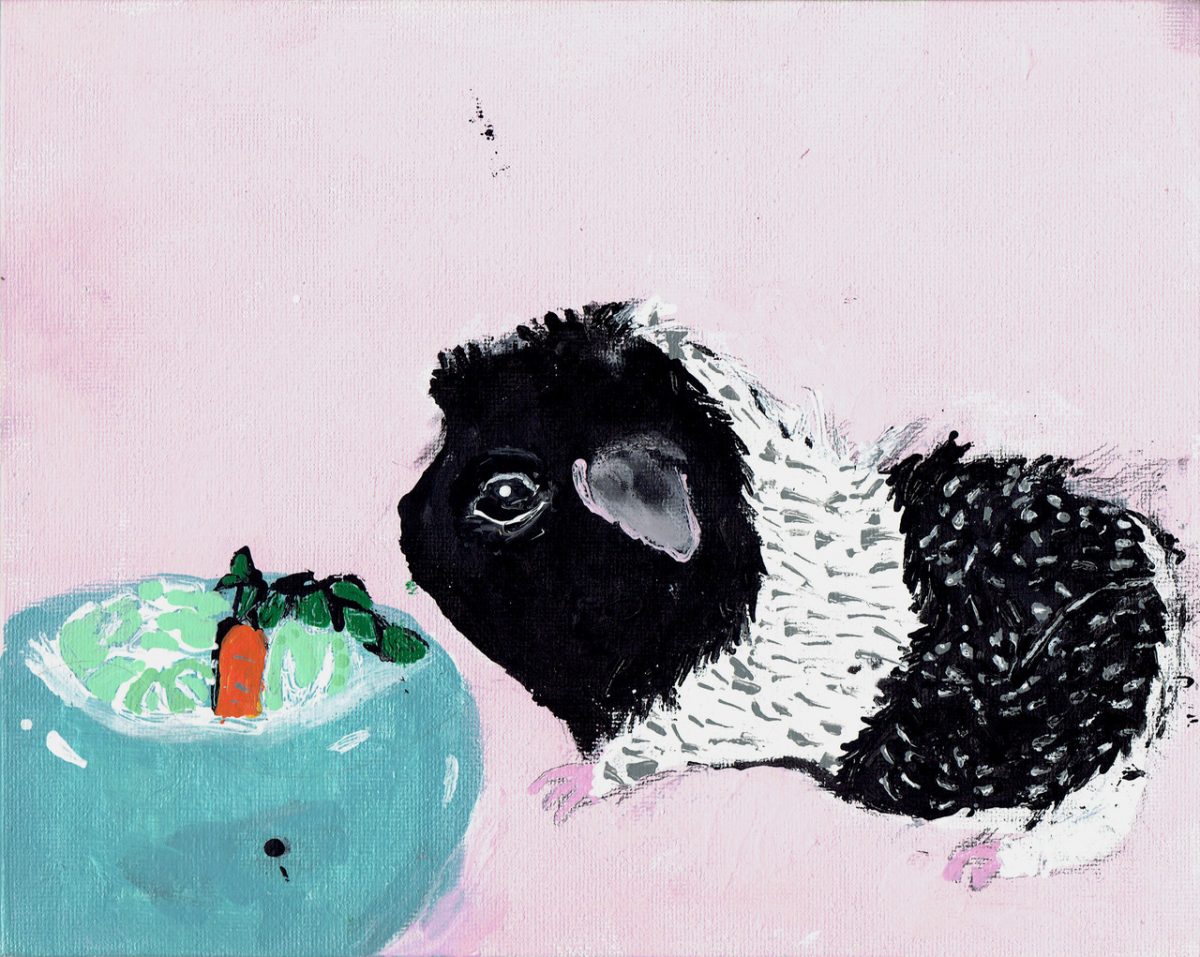 Painting of a guinea pig with a pink background