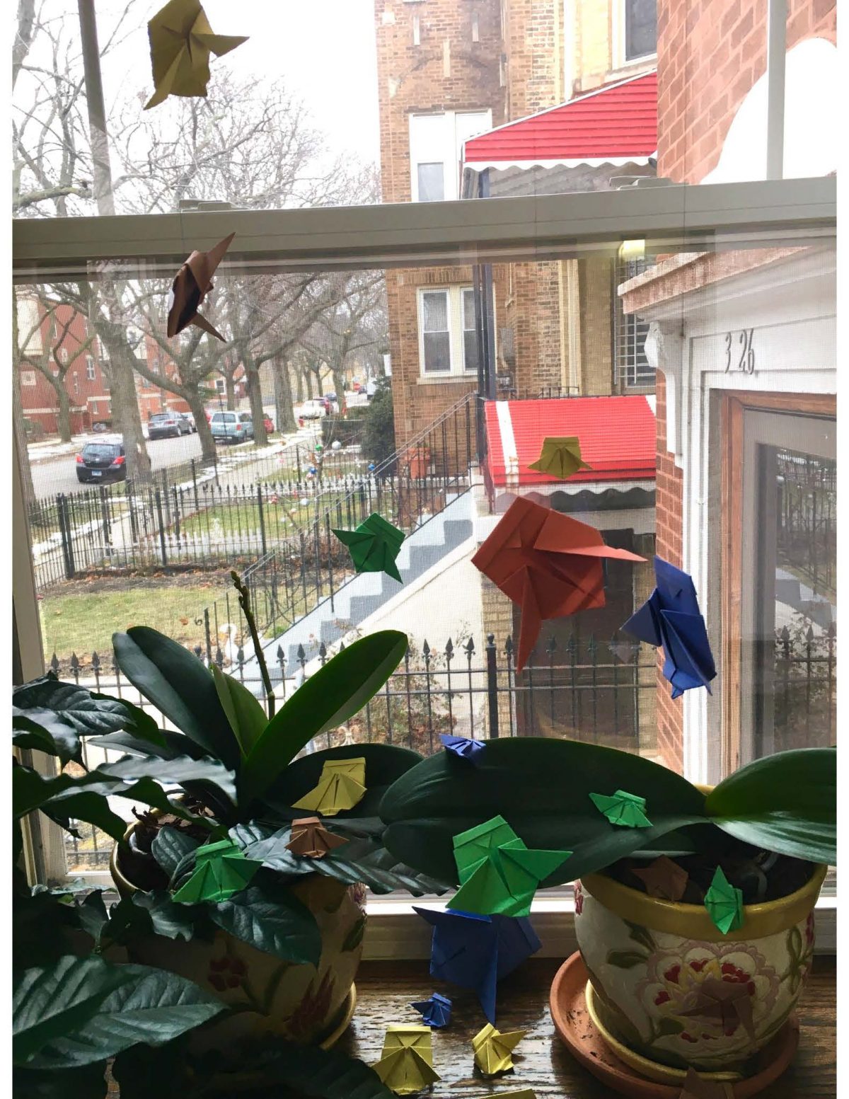 Folded paper cicadas hanging in front of a window