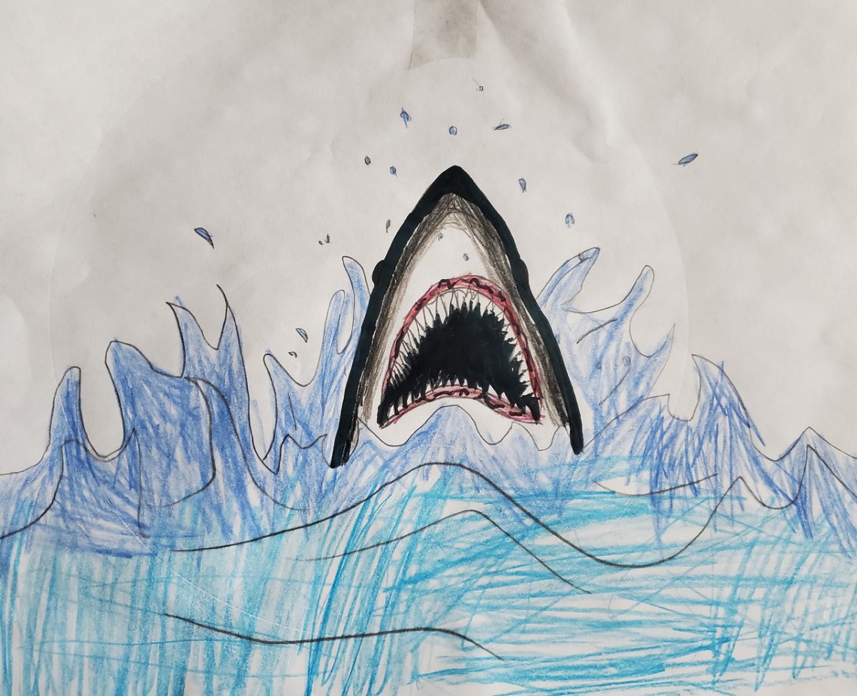 Colored pencil drawing of a shark head coming out of the water.