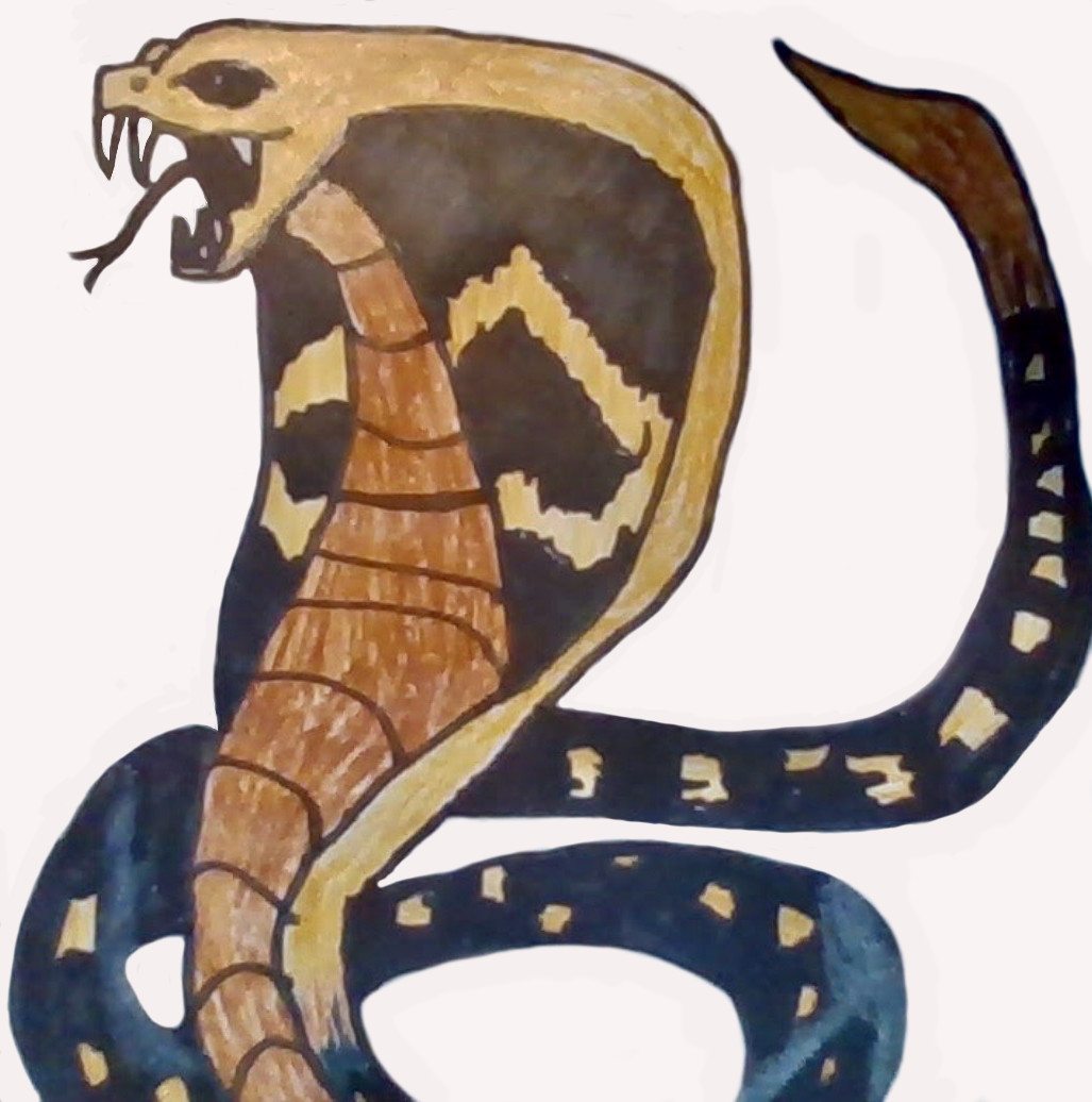 Drawing of a snake