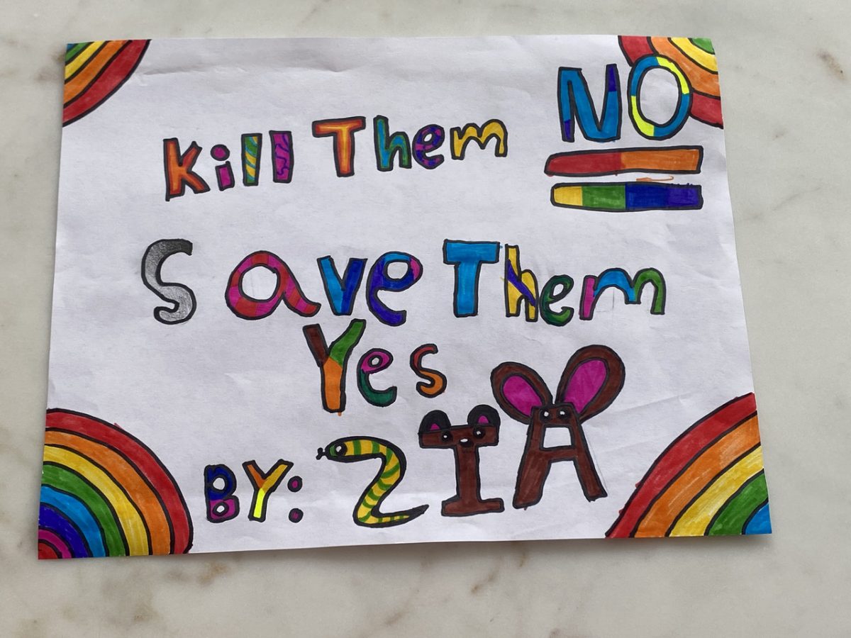 Drawing with rainbows that says "Kill them NO Save Them YES, by: Zia"