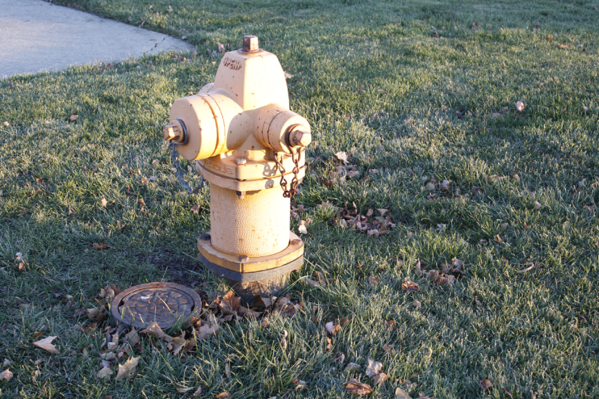 Picture of a yellow fire hydrant