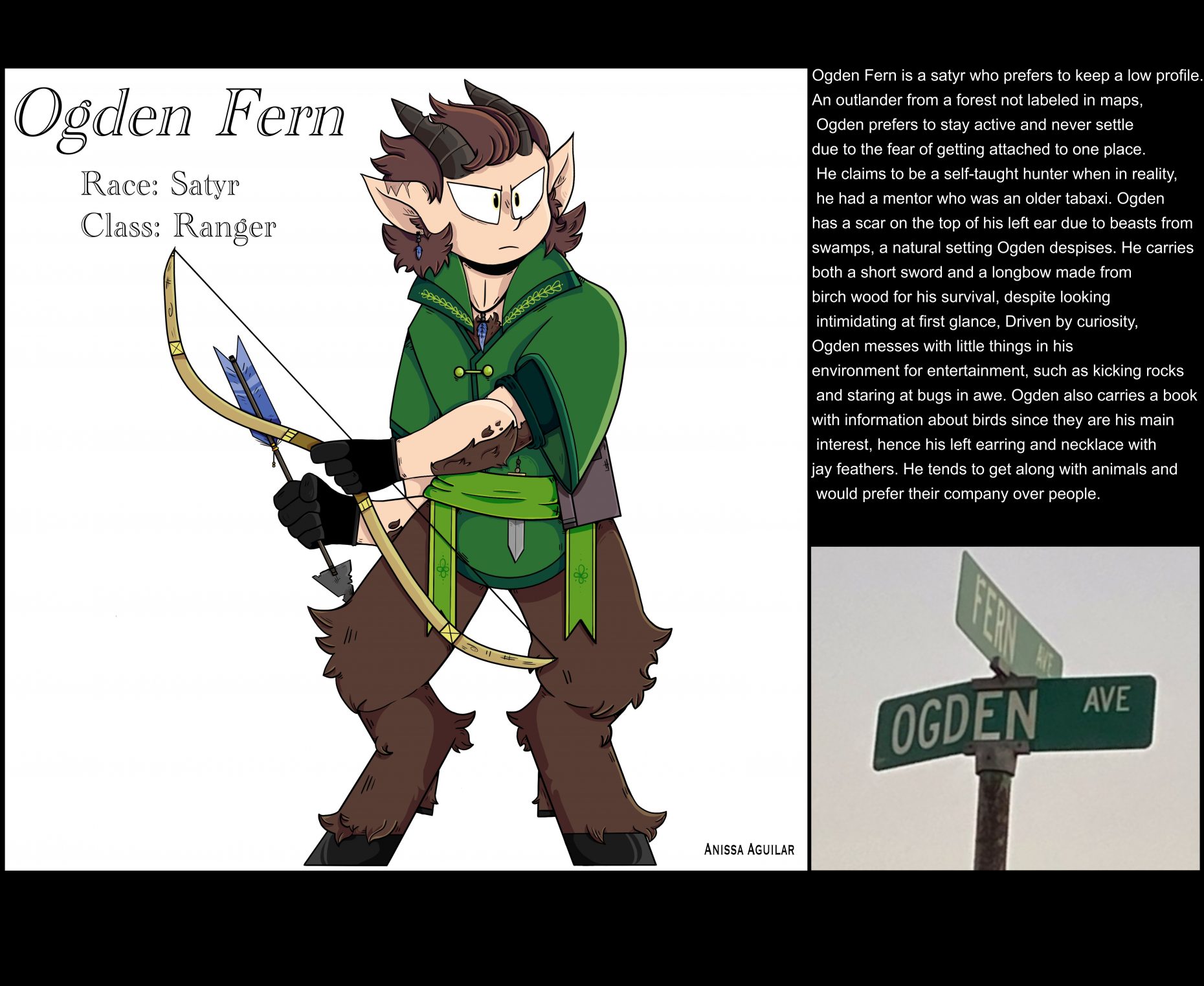 A faux dungeons and dragons animated character sheet